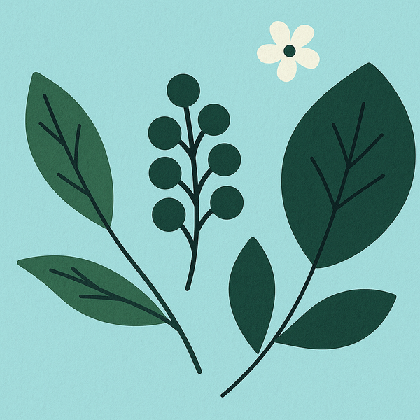 How Your Hormones Are Draining Your Energy (And What You Can Do About It)